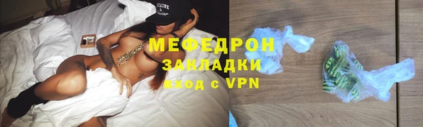 стаф Богданович