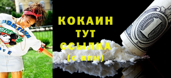 индика Россошь
