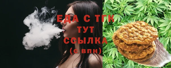 стаф Богданович