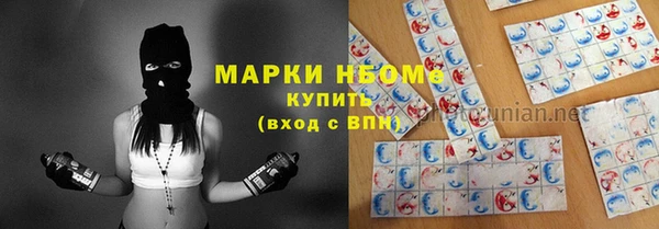 стаф Богданович