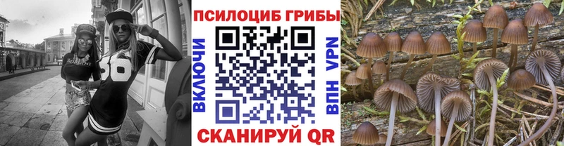 Псилоцибиновые грибы мухоморы  наркошоп  Свободный 